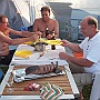 Bild (13)